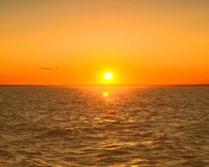 التكوين الأساسي وعلاقته بتطوّر ونموّ الهوية المهنية لدى الأساتذة بالمغرب دراسة نفسيّة اجتماعية